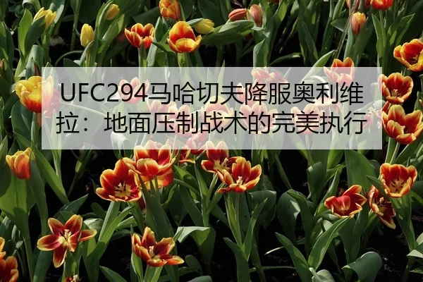 UFC294马哈切夫降服奥利维拉：地面压制战术的完美执行