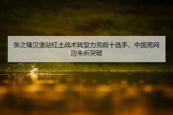 张之臻汉堡站红土战术转型力克前十选手，中国男网迎来新突破