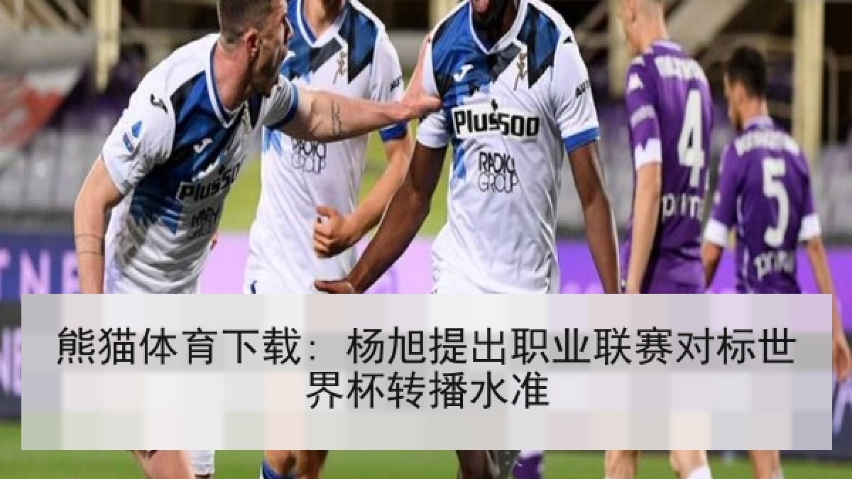 熊猫体育下载: 杨旭提出职业联赛对标世界杯转播水准 熊猫体育下载: 杨旭提出职业联赛对标世界杯转播水准