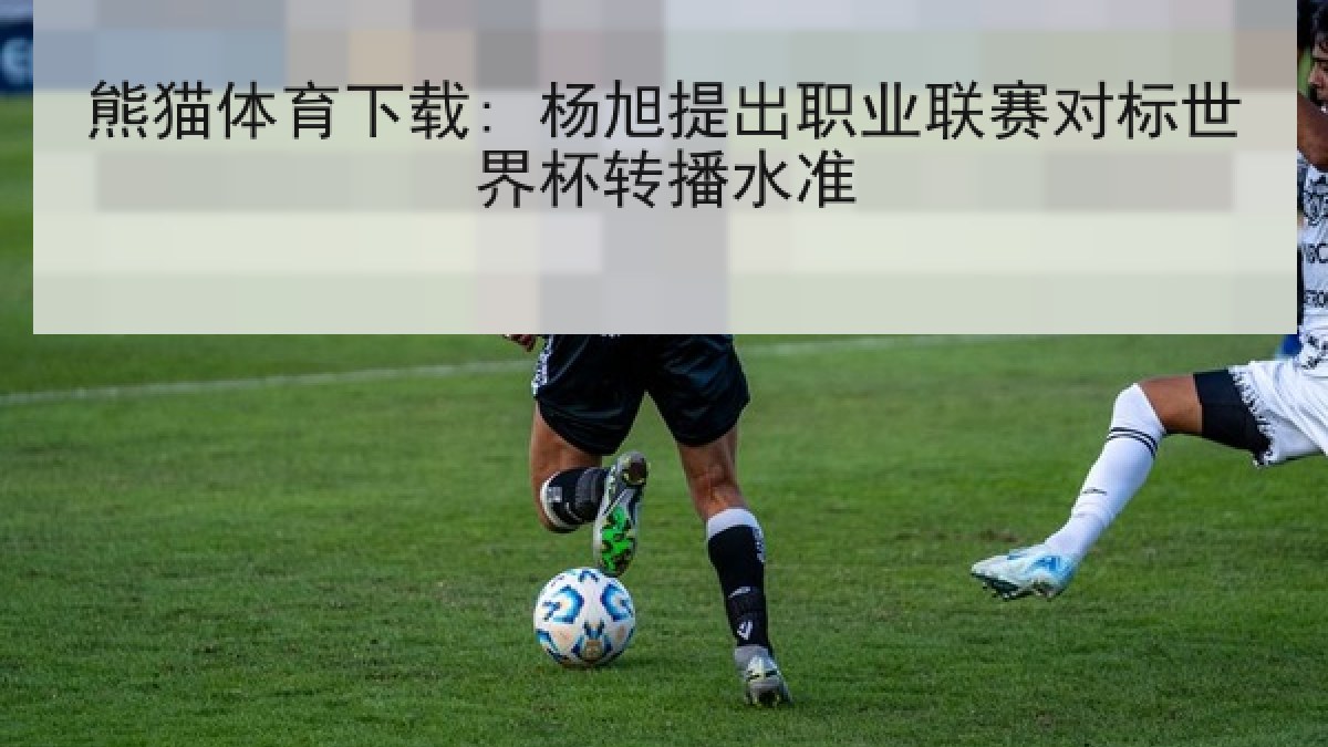 熊猫体育下载: 杨旭提出职业联赛对标世界杯转播水准