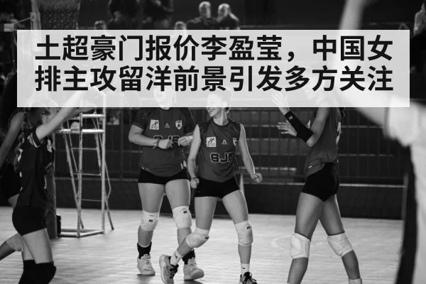 Turkish volleyball league match