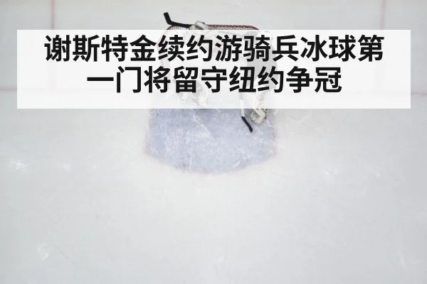 谢斯特金续约游骑兵冰球第一门将留守纽约争冠