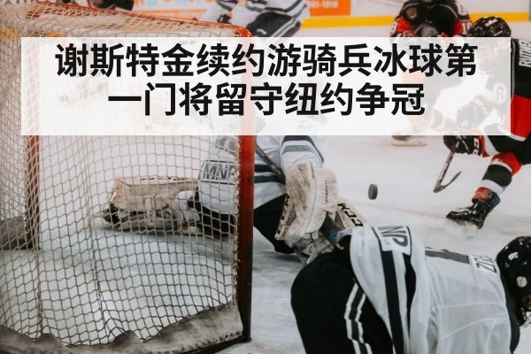 hockey save
