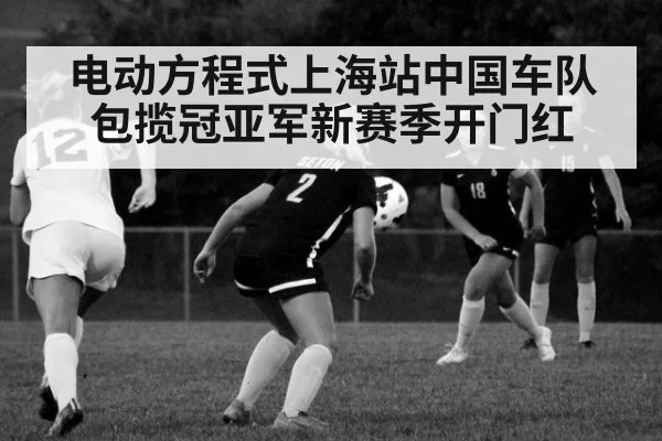电动方程式上海站中国车队包揽冠亚军新赛季开门红